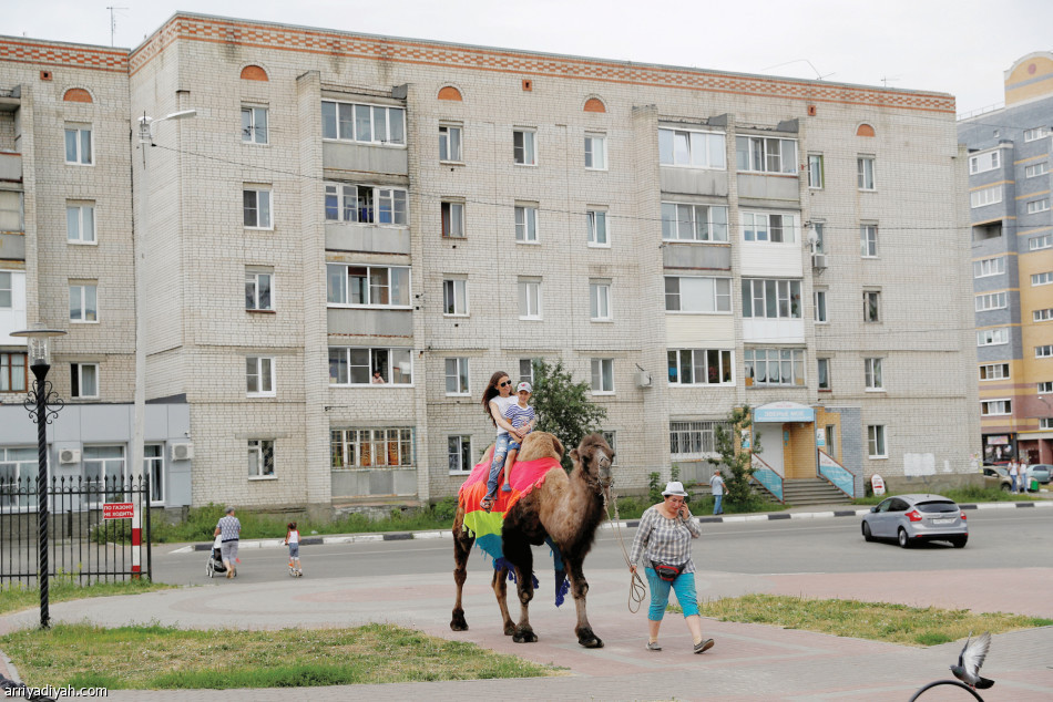 نزهة 
على
الجمال