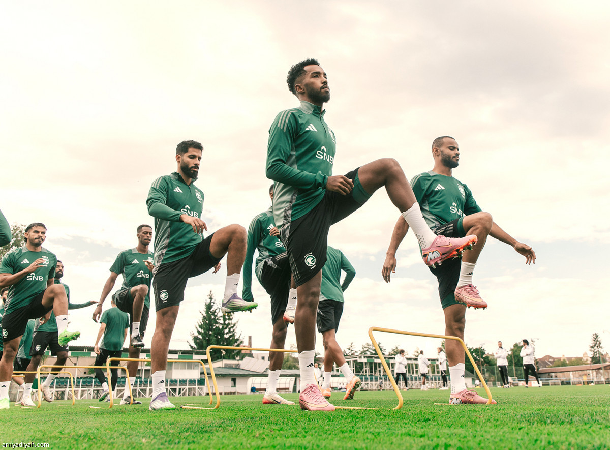 الأخضر يناور