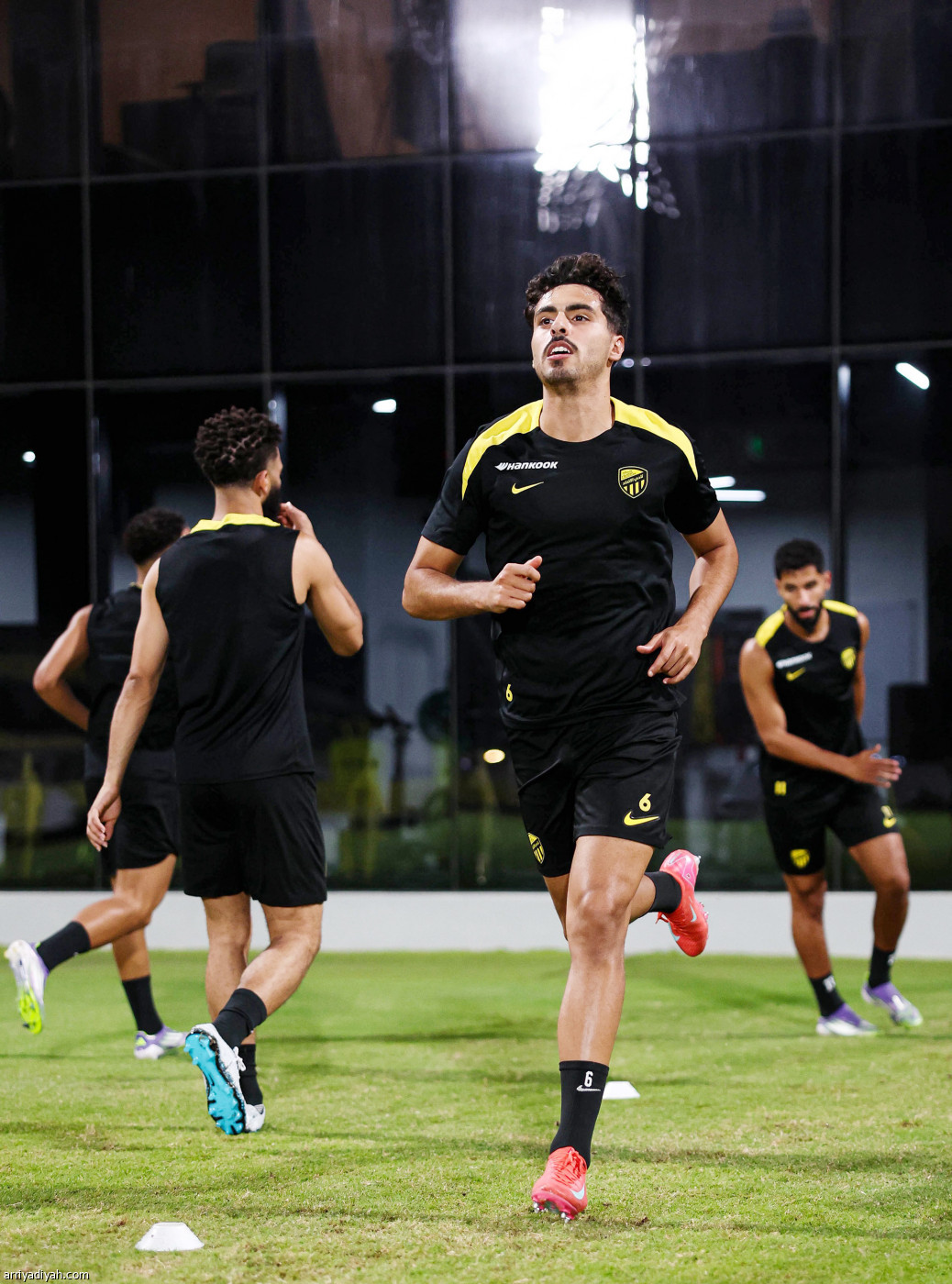 النمور تستنفر