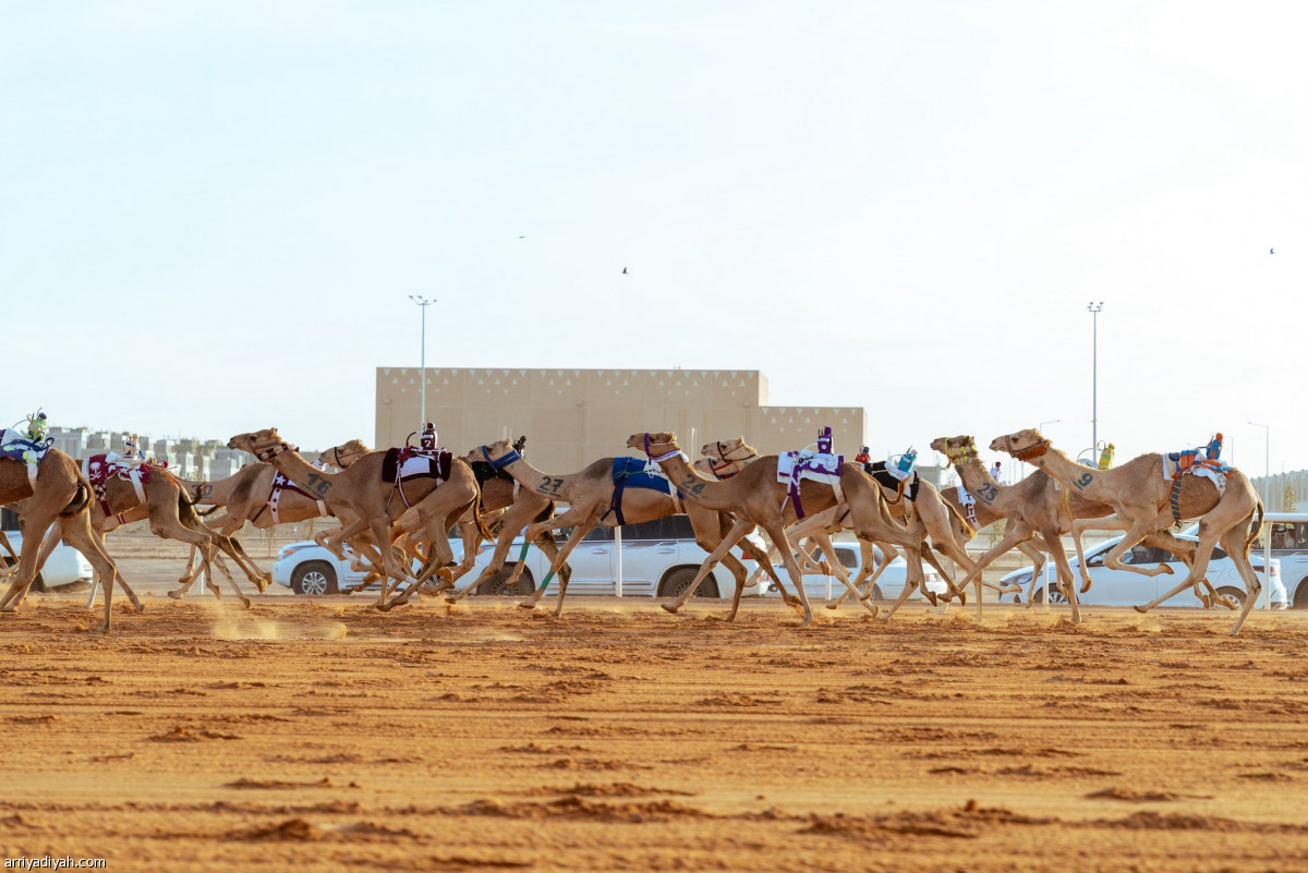 انطلاق المنافسات