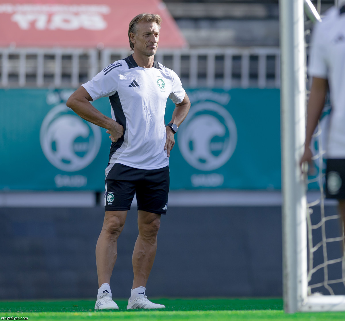 «الأخضر» جاهز