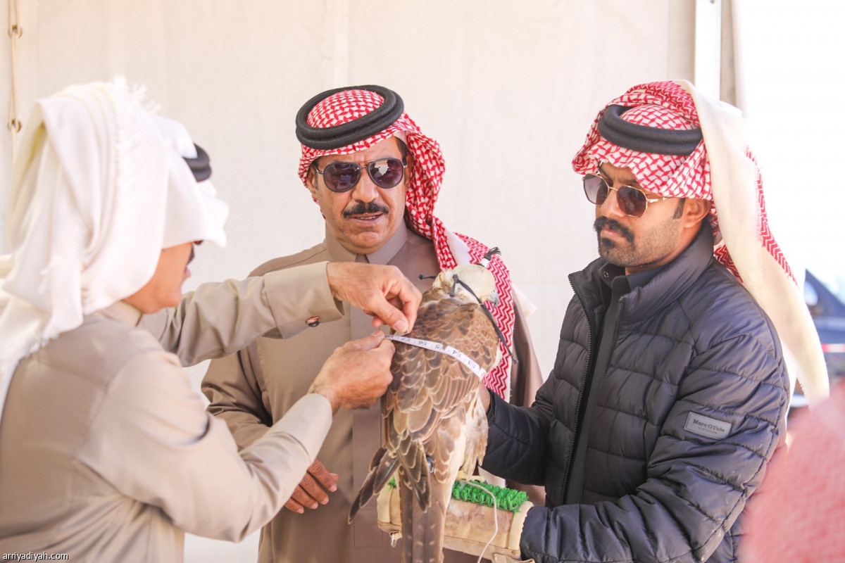 انطلاقة الصقور