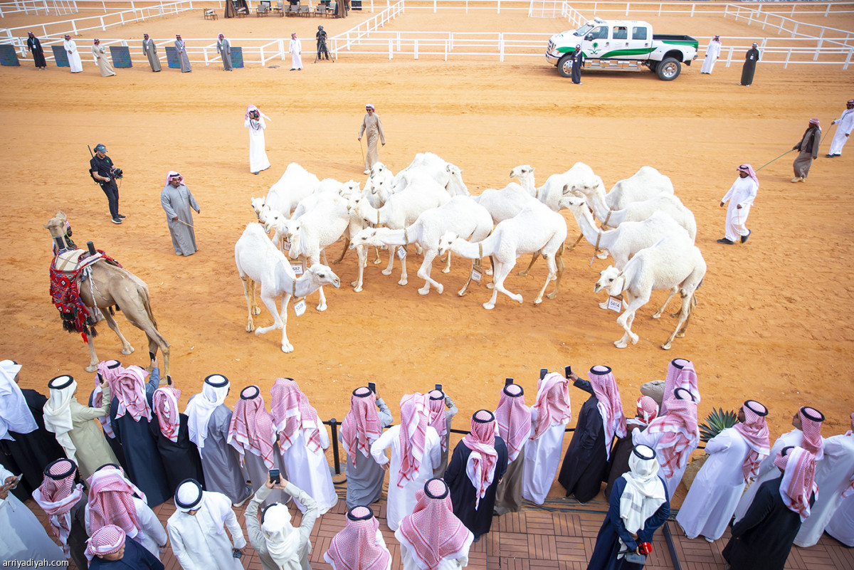 اليوم الرابع